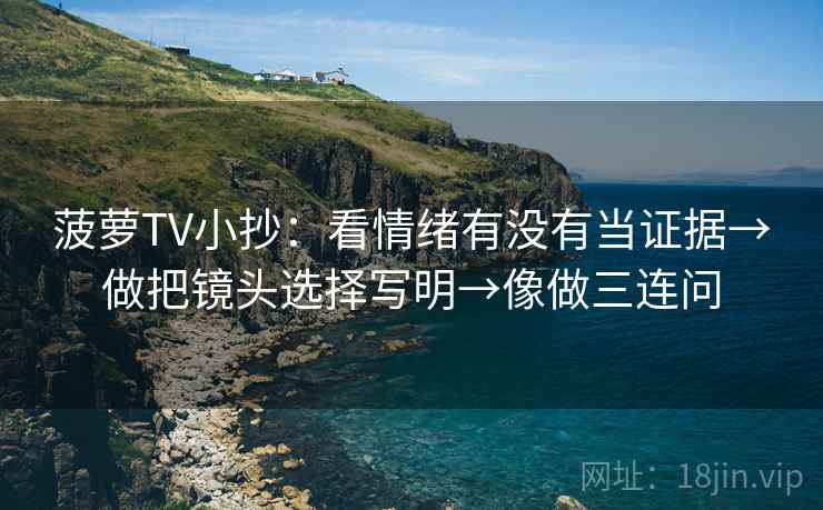 菠萝TV小抄：看情绪有没有当证据→做把镜头选择写明→像做三连问